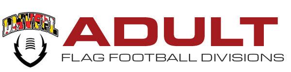 dmvffl-adult-divisions