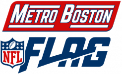 MBSG FLAG Logo_Opt4_tight_crop